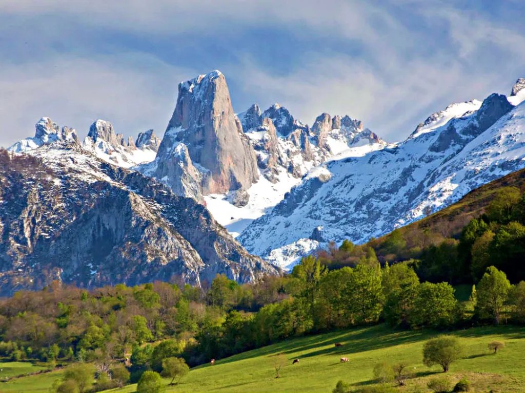 Sněžný štít Naranjo de Bulnes nad zelenými pastvinami v pohoří Picos de Europa